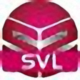 svl转换器