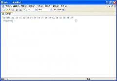 HxD十六进制编辑器