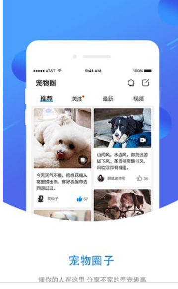 犬易 v2.6.5